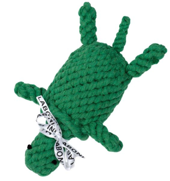 Spielzeug Tina Turtle